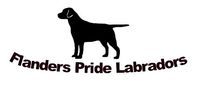 Flanders Pride Labradors